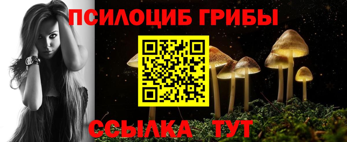Псилоцибиновые грибы ЛСД  Псилоцибиновые грибы MAGIC MUSHROOMS  Вход с VPN  Серов 